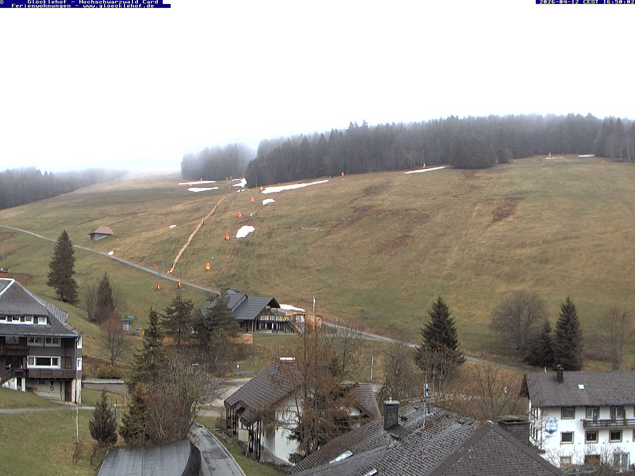 Livebild der Webcam Todtnauberg Webcam Todtnauberg