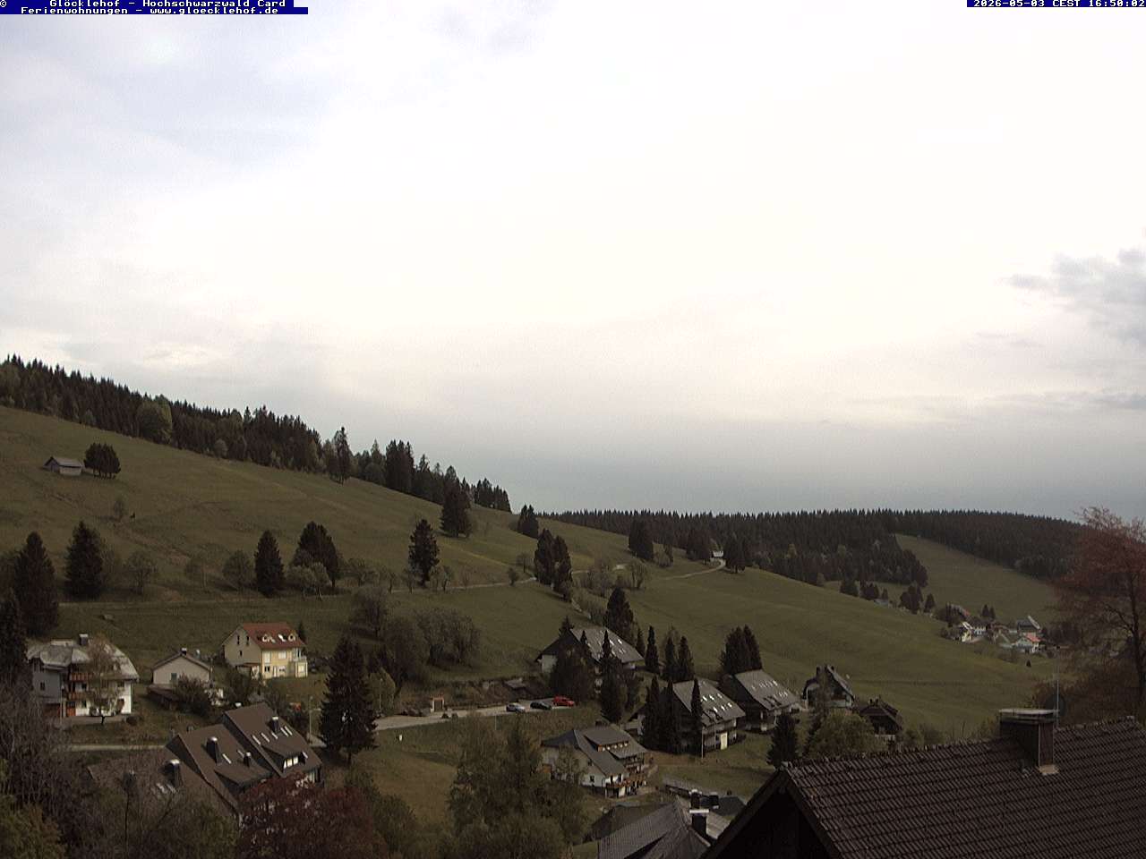 Livebild der Webcam Todtnauberg Webcam Todtnauberg