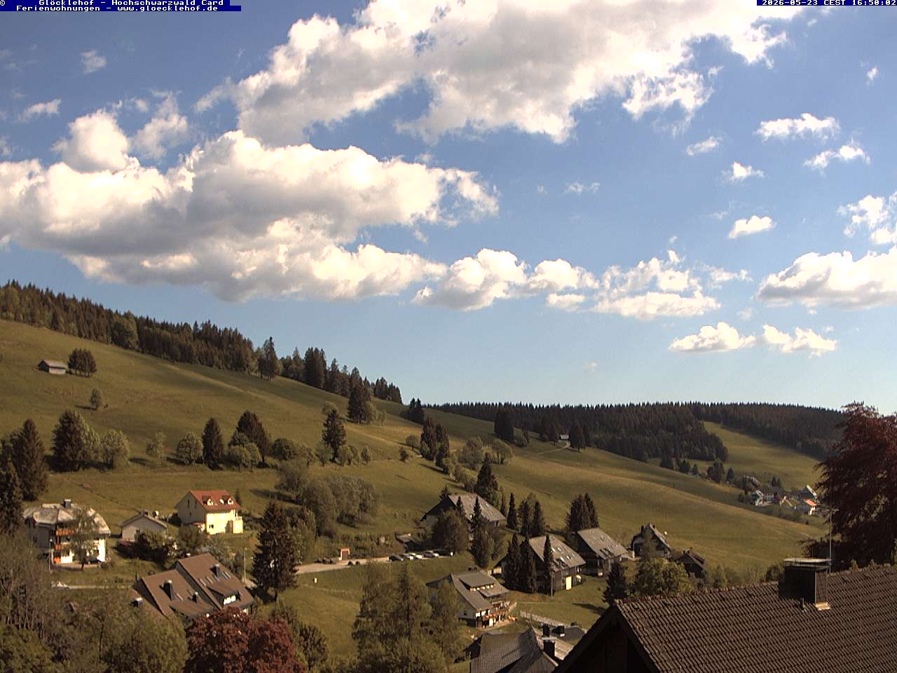 Livebild der Webcam Todtnauberg Webcam Todtnauberg