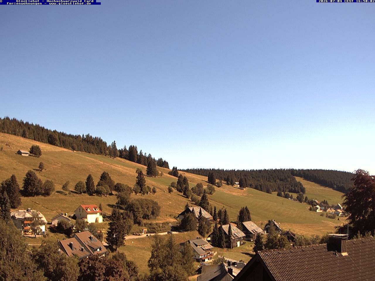 Livebild der Webcam Todtnauberg Webcam Todtnauberg