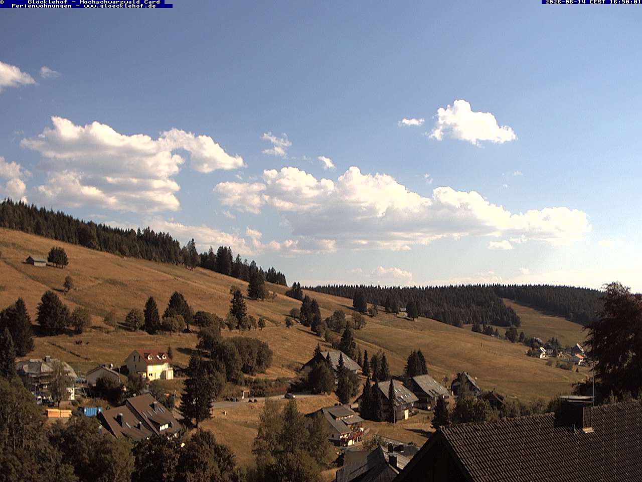 Livebild der Webcam Todtnauberg Webcam Todtnauberg